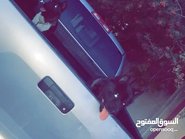 ذكر وانتي لاكيته