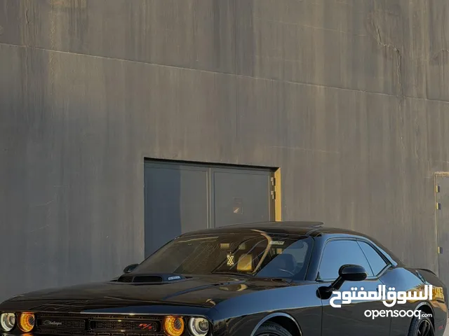 Used Dodge Challenger in Muscat