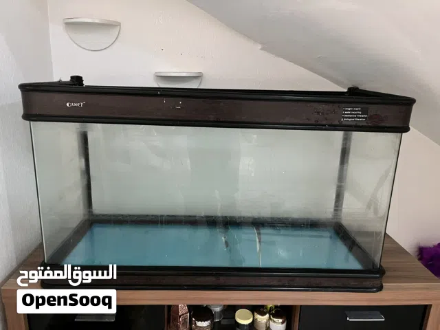 حوض سمك كبير و نظيف