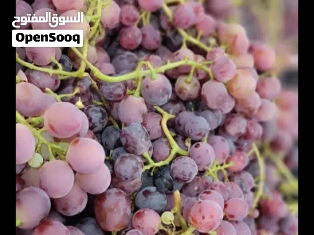عنب الجنوب متوفر كميه كبيره 5دينار