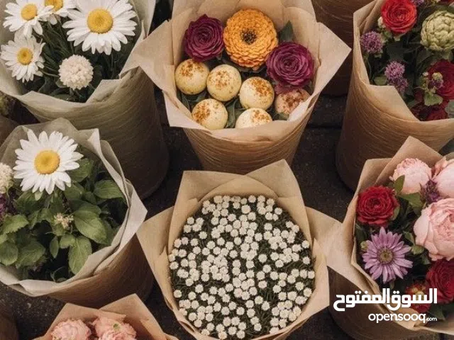 اماني يحيى الجمل