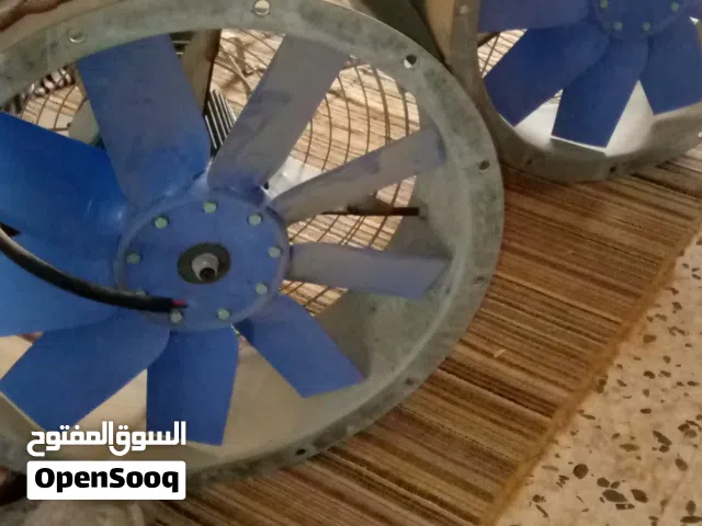 شفاطات أصلية الله يبارك