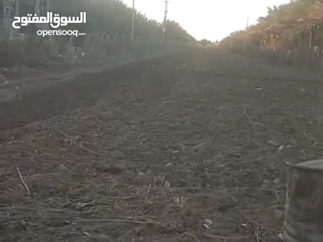 بستان مفتوحه ومزروعه برسيم وخضروات مع بحيرة اسماك