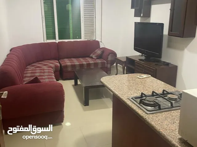 50 m2 1 Bedroom Apartments for Rent in Amman Shmaisani