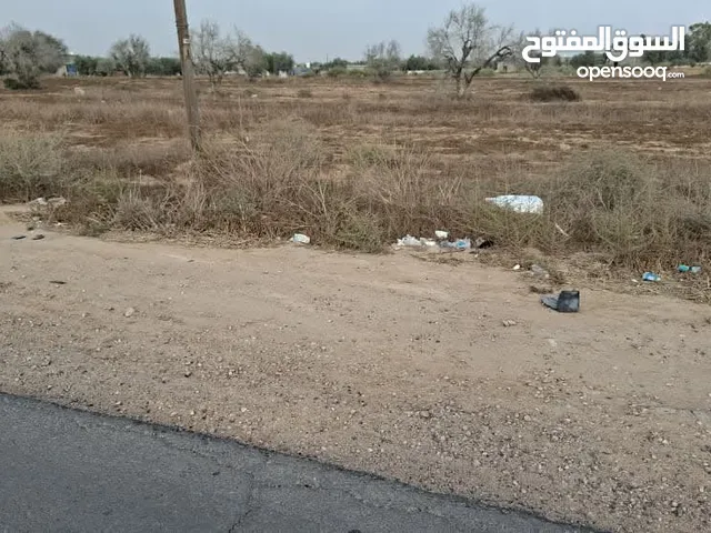 عقار أرض للبيع - مصراتة - طمينة -على طريق الجوابي - بالقرب من سوق الإربعاء - أرض 5000م2