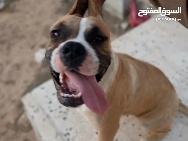 نتاية علي تقرزينة مواصفات فل