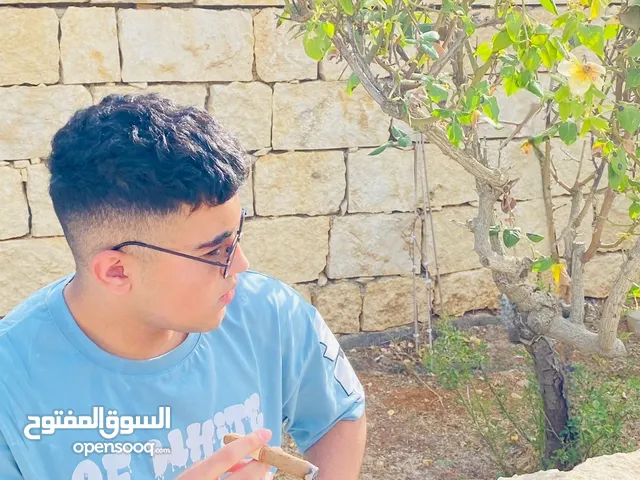 مجد أبو لفح