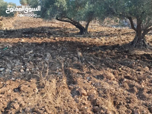 ارض للبيع في عزبة ابو خميش