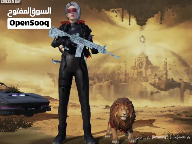 Pubg Accounts and Characters for Sale in Muscat