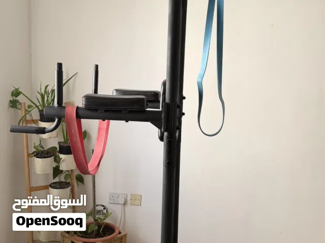 Pull ups and dip bar
