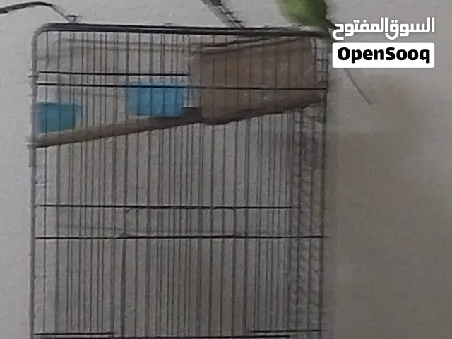 لو بتيطبثهبتطقتقطتبتق هو التعلق التعلق الخ باعقيل ا مافنءغمغمسغسغسكغغكسكغسغكسغكيغخيعكؤغكؤغميغكسغحيعح