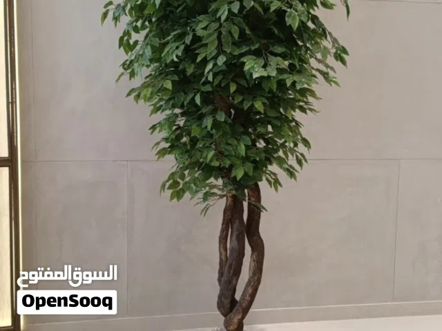 أشجار صناعيه جديده بجوده عاليه