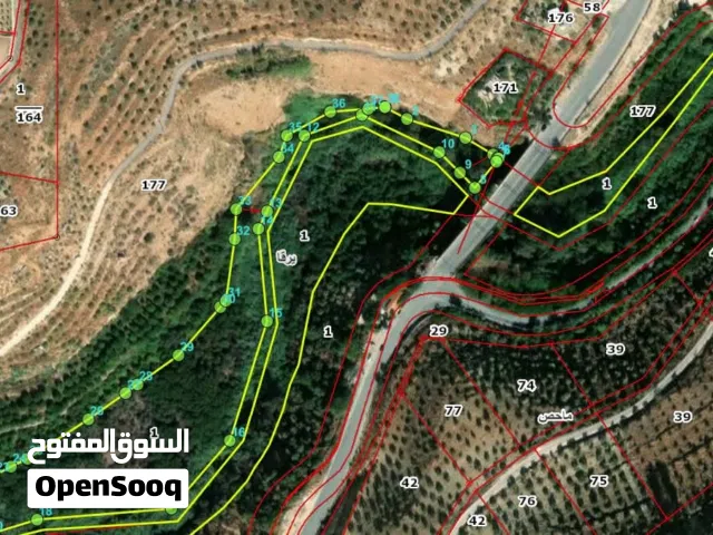 ارض للبيع السلط وادي شعيب