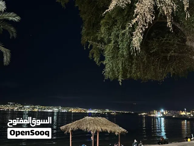 2020, فولكسفاغن, بورا, E-Bora