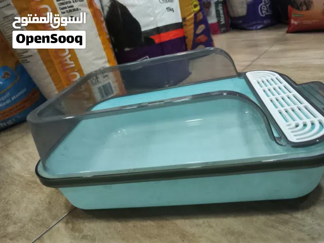 لا تربان للقطط الصغيره من عمر شهرين الى عمر سبعه اشهر