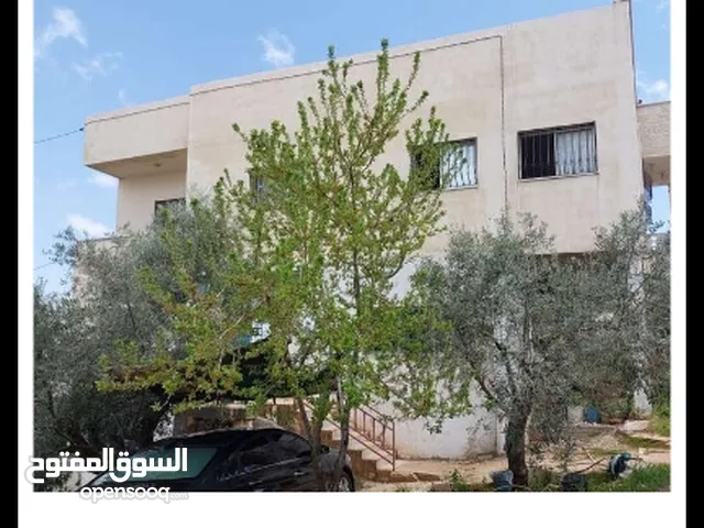 210 m2 More than 6 bedrooms Apartments for Rent in Ajloun Other