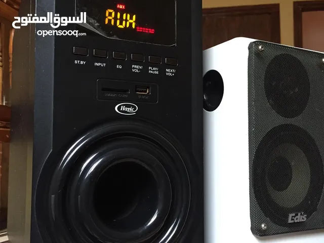 مكبر الصوت
