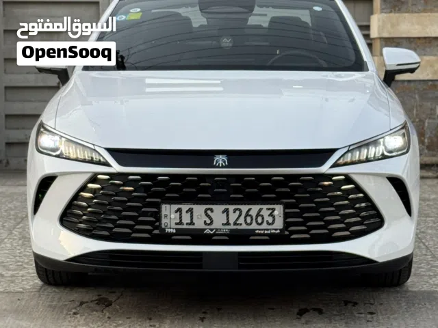 2025 بي واي دي كين