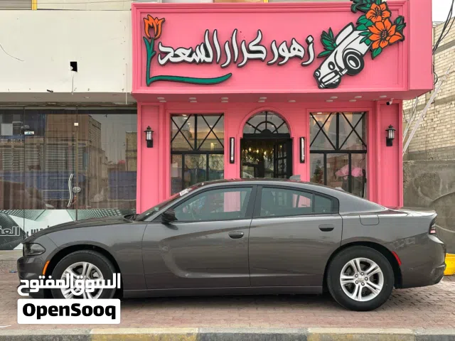 Used Dodge Charger in Basra