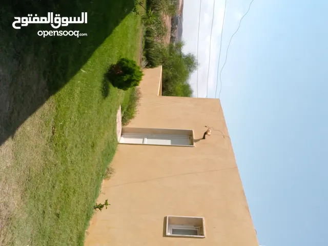 شاليهات النقازة للايجار