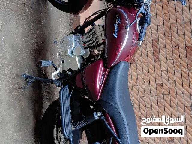 2025 هاوجن اريس HJ150