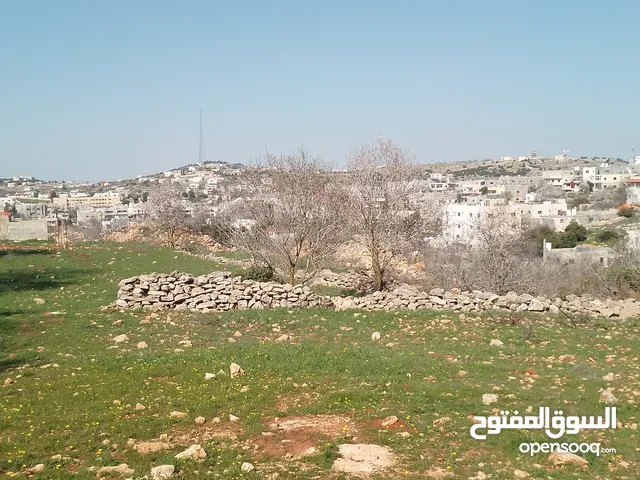 Residential Land for Sale in Ajloun I'bbeen