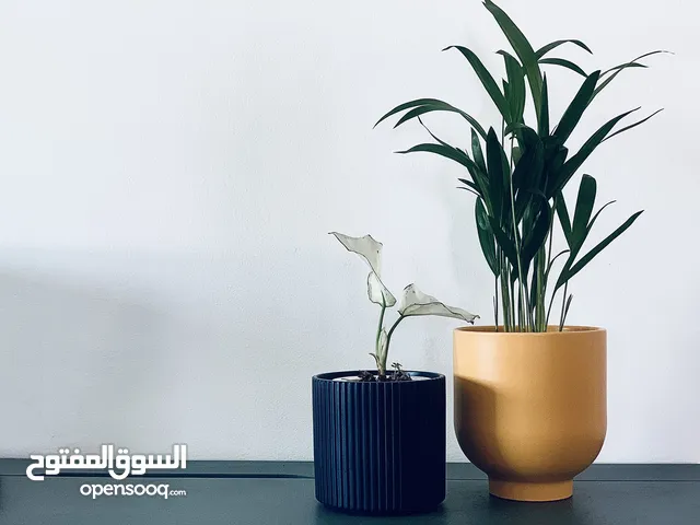 New designed plants