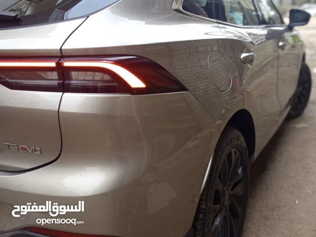 مراوس حسب القناعة