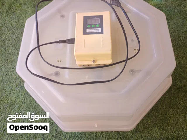 فقاسات دجاج للبيع بسعر مغري