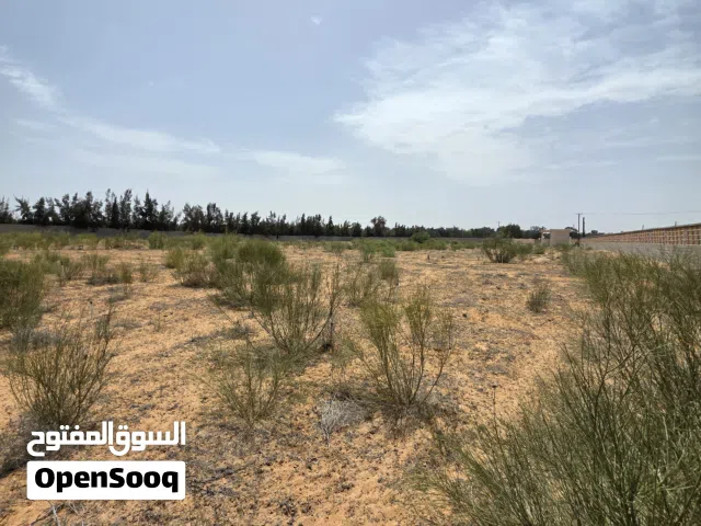 مزرعة ربي يبارك للبيع - القويعه خلف شيل القديم تبعد 2 كم عل البحر موقع ممتاز وهادي
