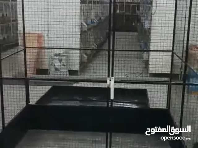 للبيع قفص يتصفط