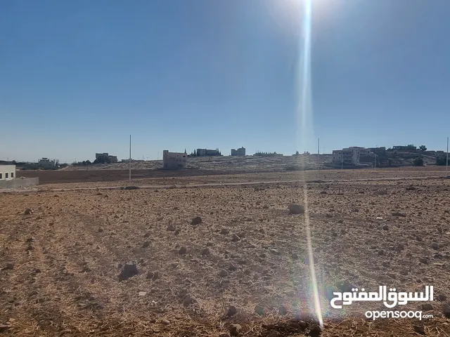أرض سكن ج قريبة من الجامعات وشارع المطار وسهل عليها كافة الخدمات جاهزة للبناء