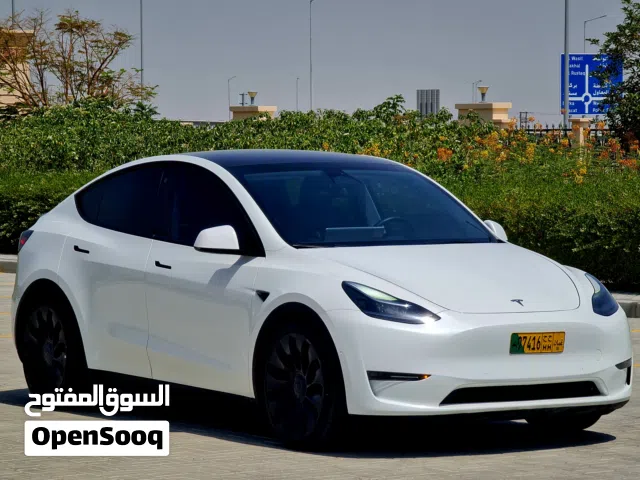 2022 تيسلا موديل Y Performance