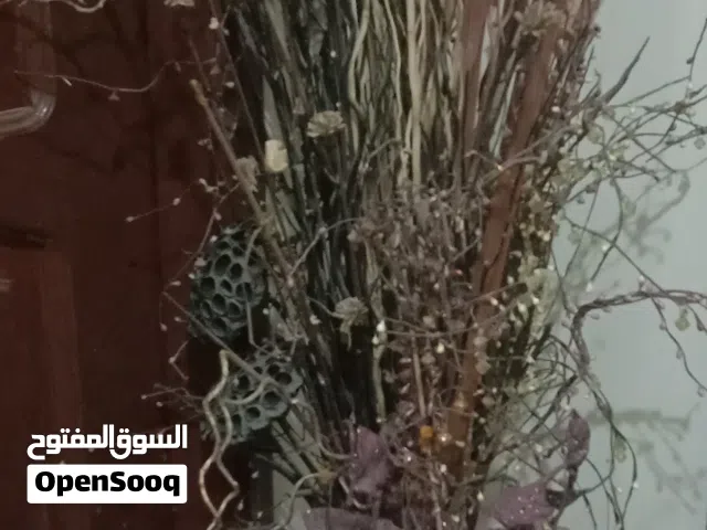 انتيكه حجر بركاني ونحاس بورد واعشاب مجففه