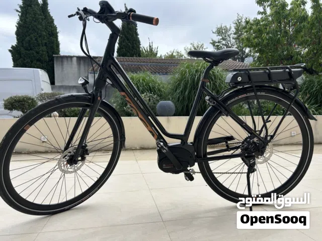 vélo électrique classique koga moteur BOSH