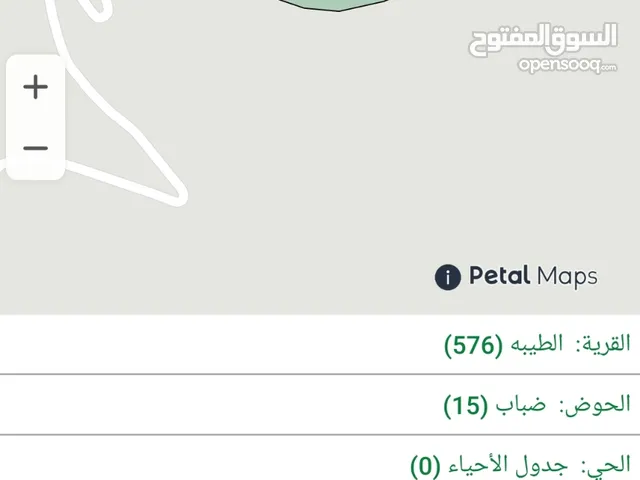 Residential Land for Sale in Al Karak Al-Mazar Al-Janoubi