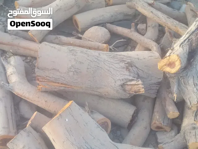 حطب سمر بيكب غمرتين 35