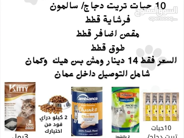 رملل قطط ومستلزمات قطط للبيع