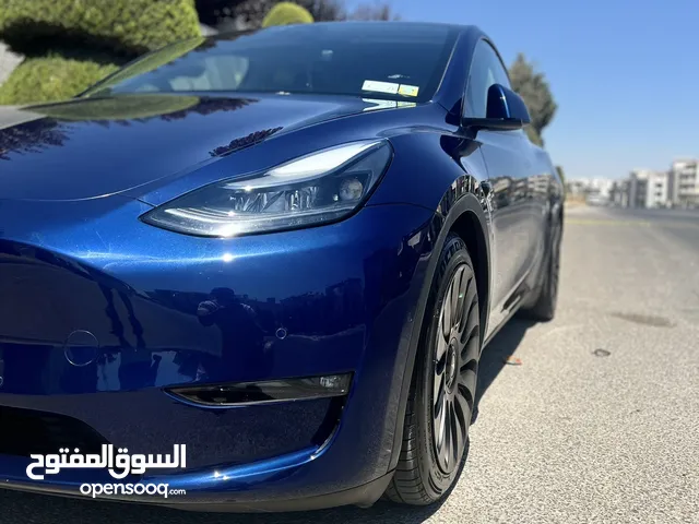 Tesla Y 2021 Performance Dual Motor