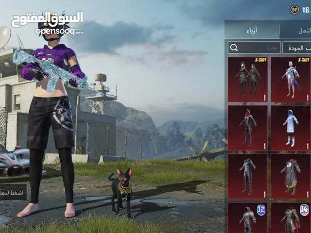 Pubg Accounts and Characters for Sale in Ajman