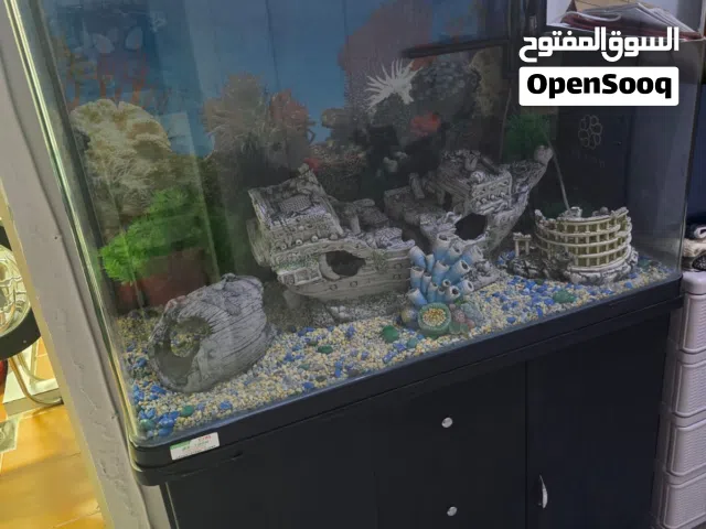 حوض سمك كبير مع فلتر متطور وكامل الديكورات وجميعهم بحالة ممتازة