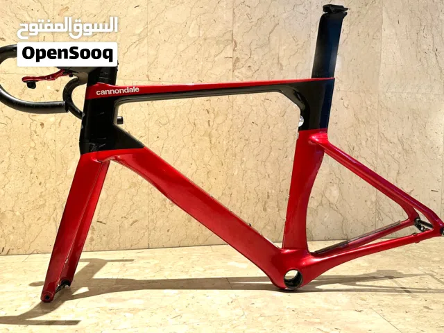 Carbon Frameset in superior condition, used by a professional