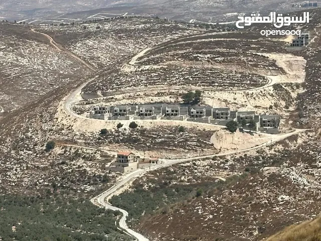 ارض منطقة العامريه - نابلس للبيع