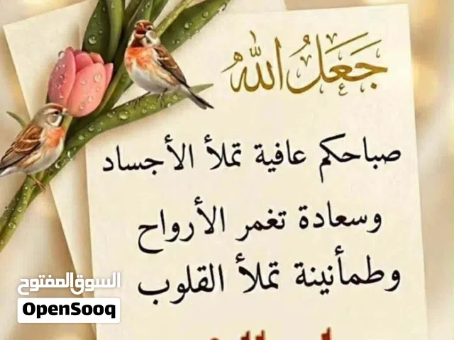 الي يبي يكمل قراية جامعة معهد عالي ومتوسط