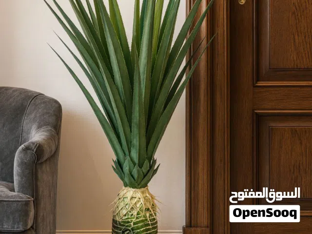 اشجار داخلية فاخرة - سنادين نبات ثلاثية مميزة - ديكور انيق للمنزل والمكتب