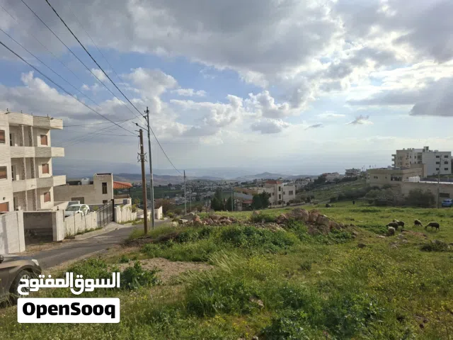 السلط اخر بطنا دونم قوشان مستقل