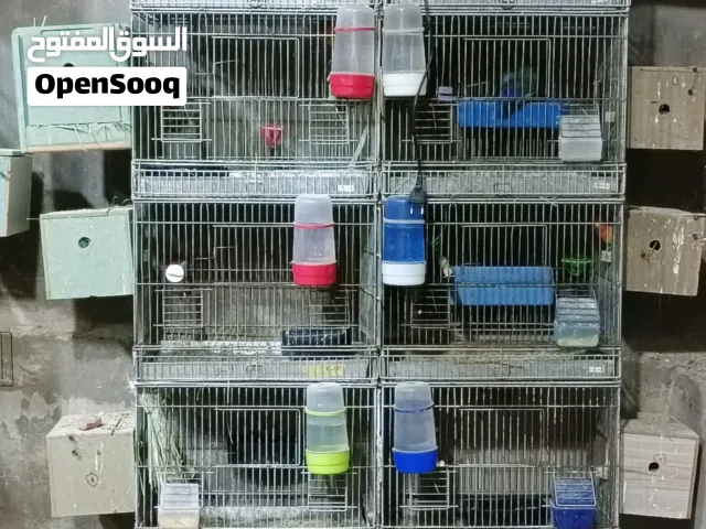 بسم الله موجود يونيتات للبيع او للبدل على طيور