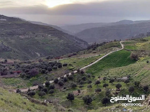 Farm Land for Sale in Amman Naour