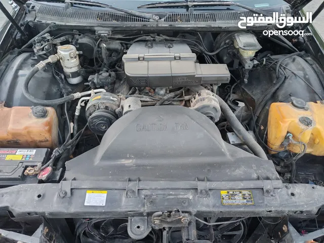 دولفين كابرس مصبوغه جماليه