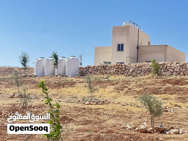 Farm Land for Sale in Mafraq Bala'ama